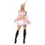 Picture of Captain's Treasure Pink Pirate Adult Womens Costume