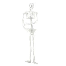 Picture of Bendable Desktop Skeleton