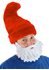 Picture of Red Gnome Hat
