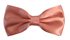 Picture of Festive Bow Tie (More Styles)