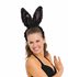 Picture of Super Deluxe Bunny Ears (More Colors)