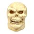 Picture of Animated Skull Morphkin Prop
