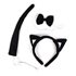 Picture of Cat Girl Child Accessory Kit
