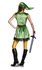 Picture of Zelda Link Dress Adult Womens Costume