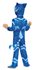 Picture of PJ Masks Classic Catboy Toddler Costume