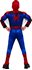Picture of Spider-Man Homecoming Deluxe Child Costume