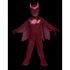 Picture of PJ Masks Deluxe Owlette Toddler Costume