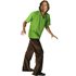 Picture of Scooby-Doo Shaggy Adult Mens Costume