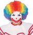 Picture of Multicolor Clown Child Wig