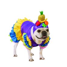 Picture of Brazilian Bombshell Pet Costume
