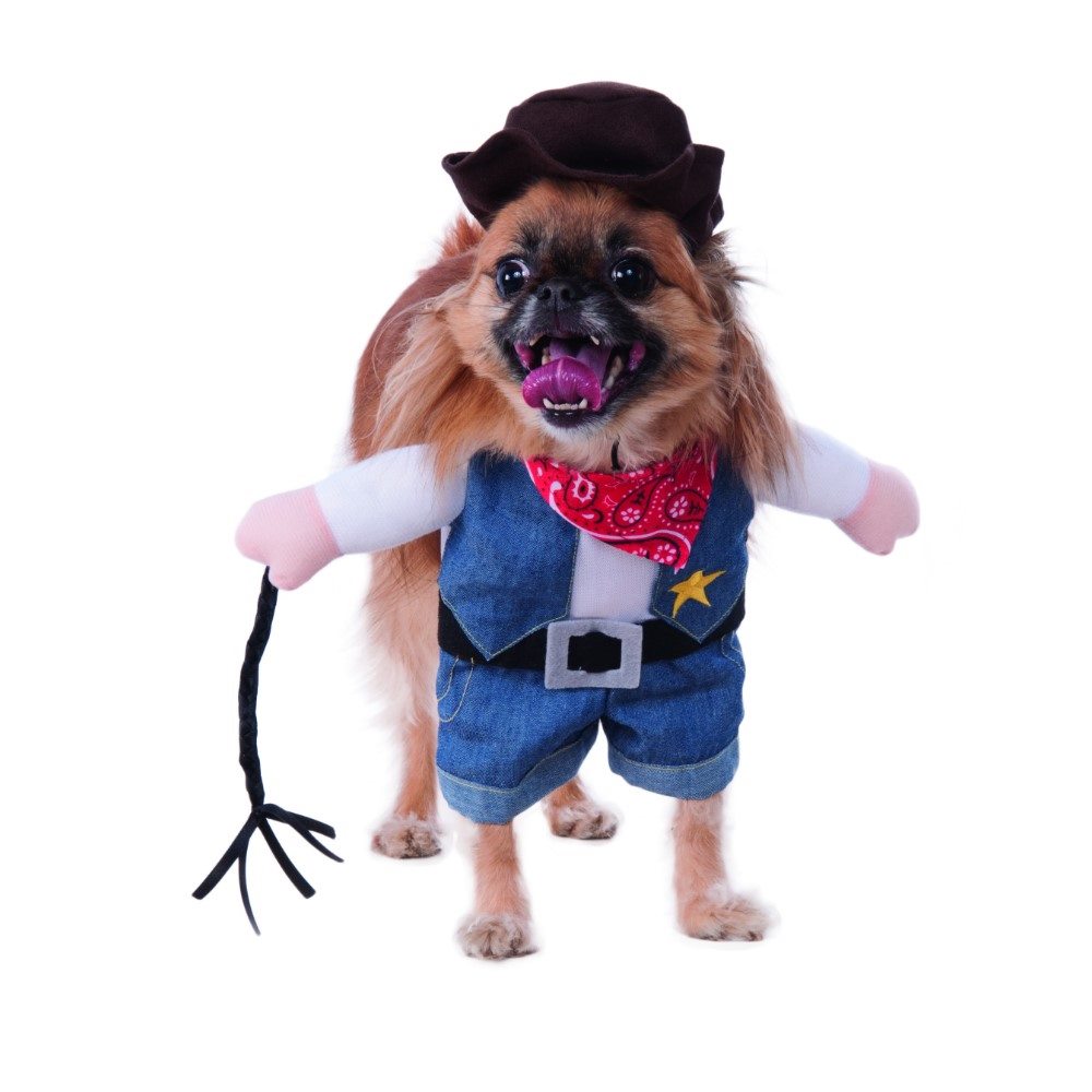 Picture of Walking Cowboy Pet Costume
