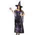 Picture of Starlight Witch Adult Womens Costume