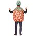 Picture of Pineapple Adult Unisex Costume