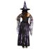 Picture of Starlight Witch Adult Womens Costume