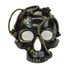 Picture of Steampunk Gold Skull Mask