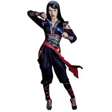 Picture of Ninja Princess Adult Womens Costume