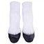 Picture of White Horse Hooves