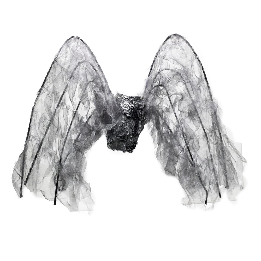 Picture of Black Wings