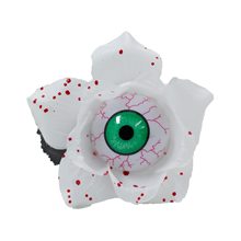 Picture of White Bloody Eye Rose