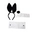 Picture of Black & White Instant Bunny Kit