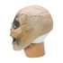 Picture of Skull Latex Mask